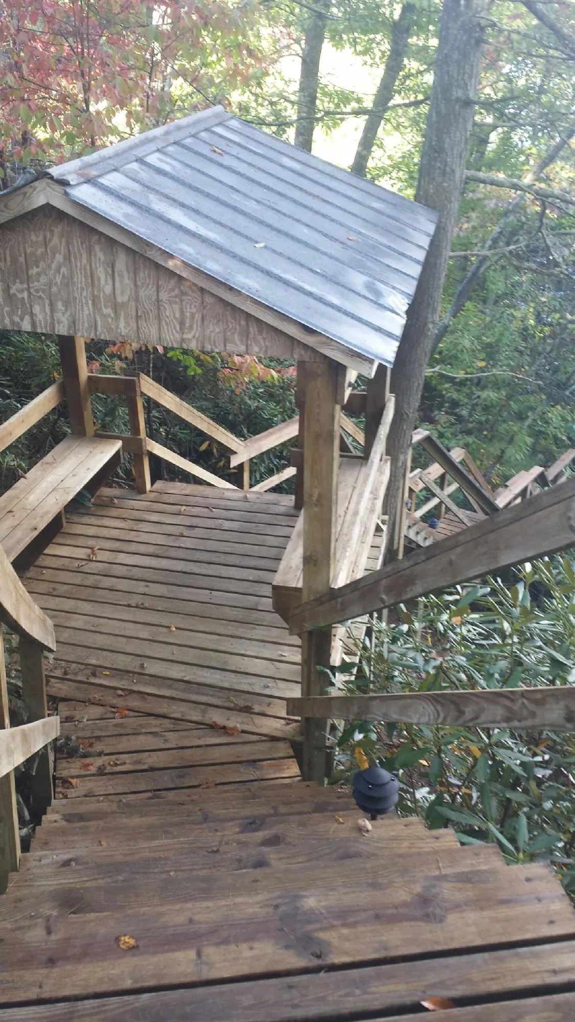 Metal roofed shelter over wooden steps on a wooded walkway — Skylight Repair & Installation work by our crew in Honey Grove